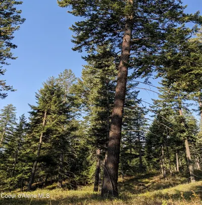 Property 26-2586 - Photo 2