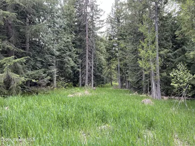 Property 26-1811 - Photo 4
