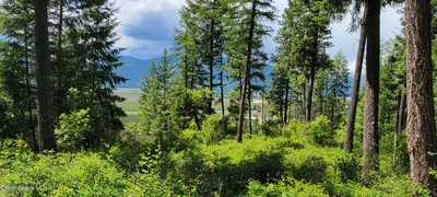 Property 26-4120 - Photo 5