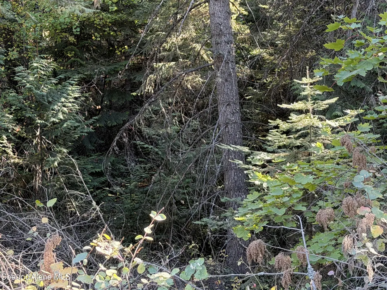 Property 26-10168 - Photo 1