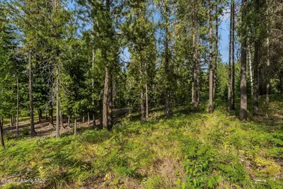 Property 25-8553 - Photo 17