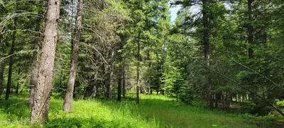 Property 26-9415 - Photo 9