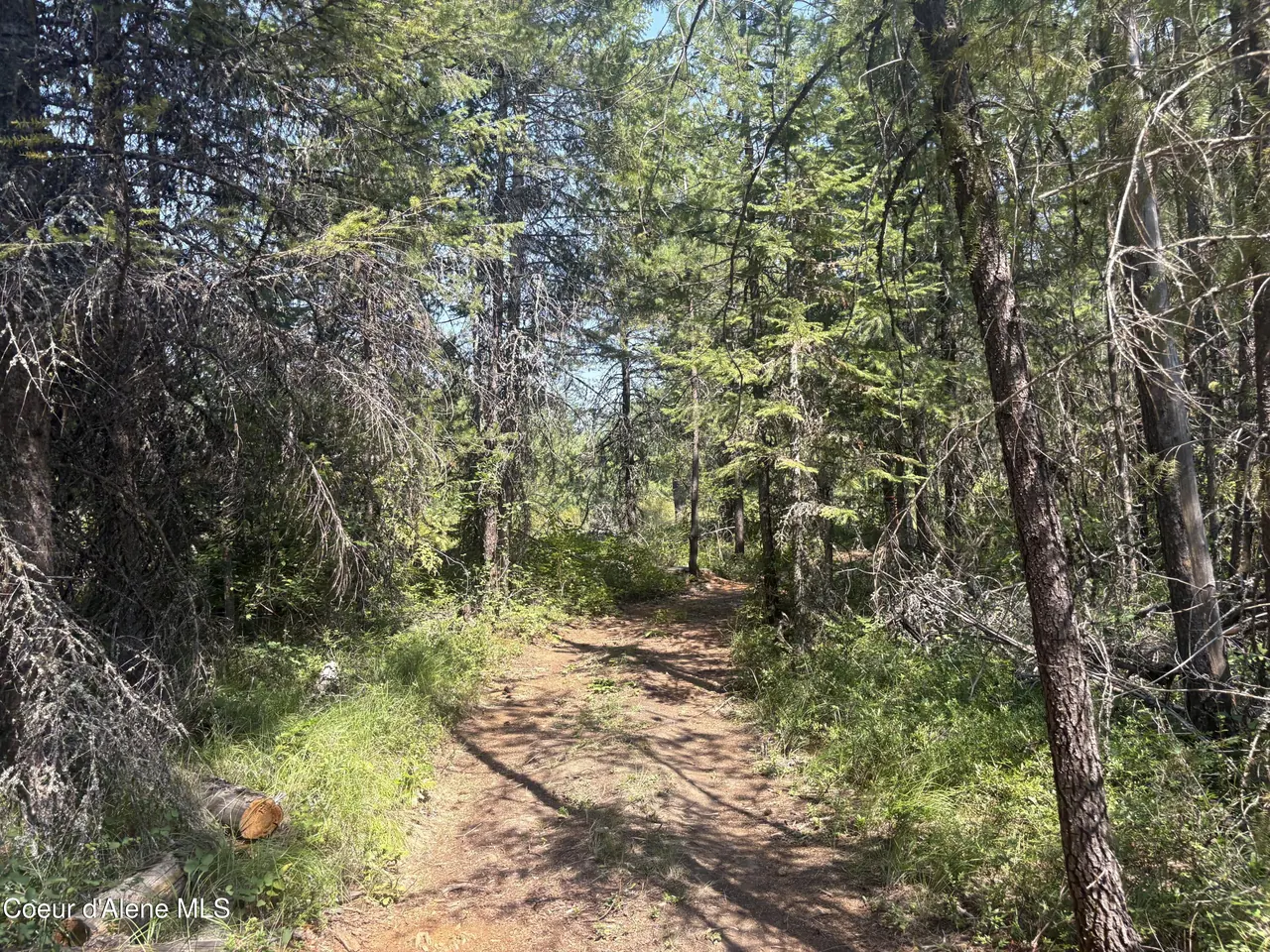 Property 26-8234 - Photo 1