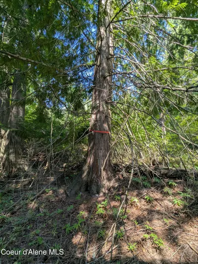 Property 26-7348 - Photo 13