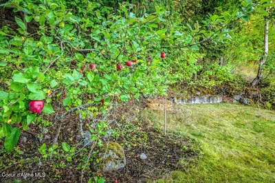 Property 26-9553 - Photo 22