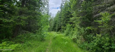 Property 26-5846 - Photo 2