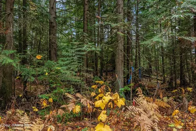 Property 25-10972 - Photo 24