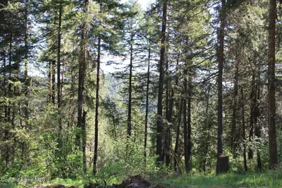 Property 26-9113 - Photo 42