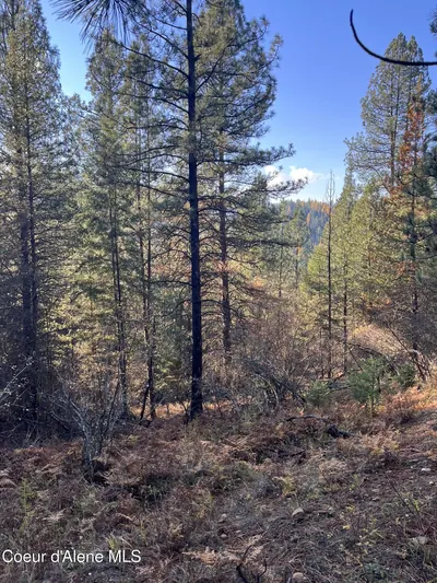 Property 25-10436 - Photo 5
