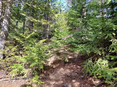 Property 26-4271 - Photo 5