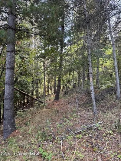Property 26-10583 - Photo 13
