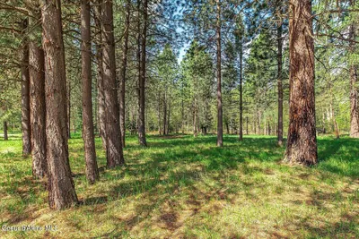 Property 26-2972 - Photo 63