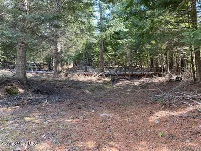 Property 25-4559 - Photo 3