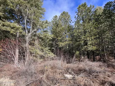 Property 26-8202 - Photo 6