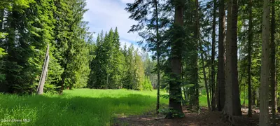Property 26-9404 - Photo 9