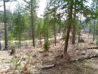 Property 26-2591 - Photo 21