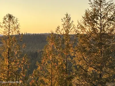 Property 26-7768 - Photo 66