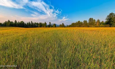 Property 24-8362 - Photo 6