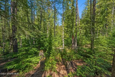 Property 26-10197 - Photo 23