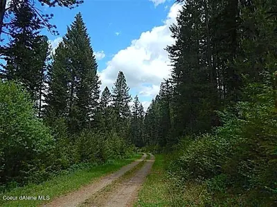 Property 25-2486 - Photo 4