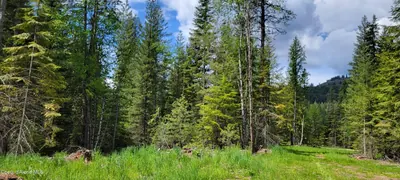 Property 26-5549 - Photo 4