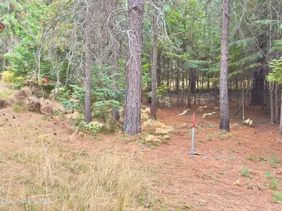 Property 26-10276 - Photo 59