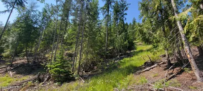 Property 26-4583 - Photo 12