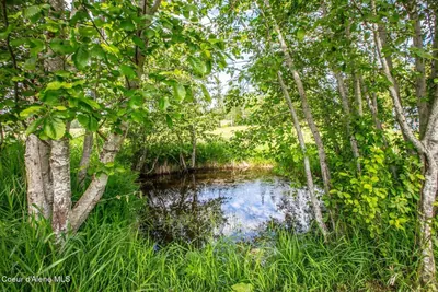 Property 26-5946 - Photo 41