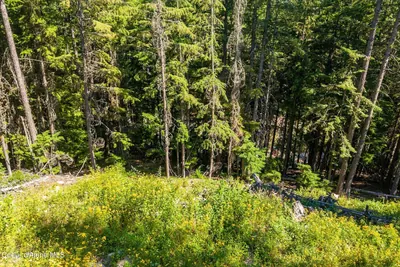 Property 26-8689 - Photo 23