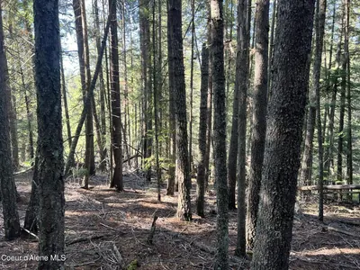 Property 26-4691 - Photo 11