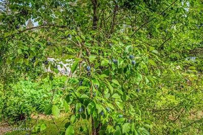 Property 26-9452 - Photo 45