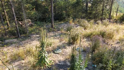 Property 26-8623 - Photo 15