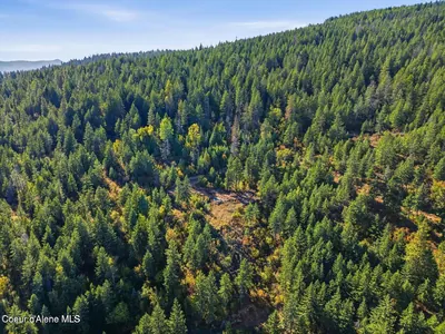 Property 26-10295 - Photo 11