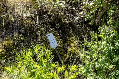 Property 26-8187 - Photo 31