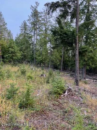 Property 26-8161 - Photo 5