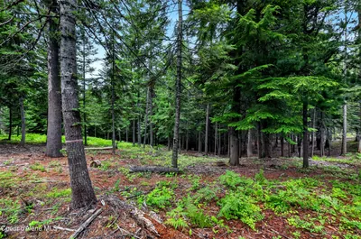Property 26-7037 - Photo 24
