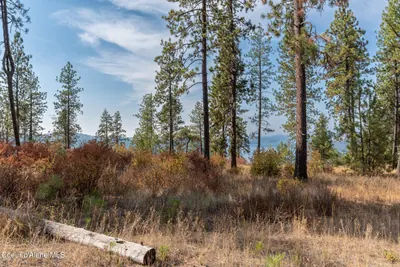 Property 26-9497 - Photo 26