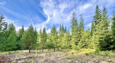 Property 26-8684 - Photo 9