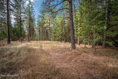 Property 26-9892 - Photo 5