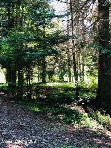 Property 26-6208 - Photo 2