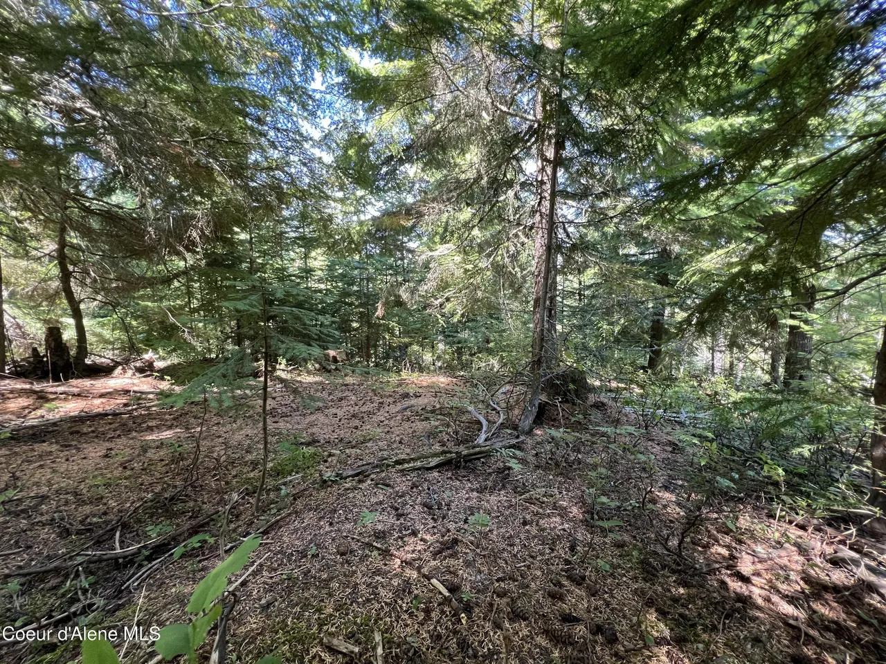 Property 26-4197 - Photo 1