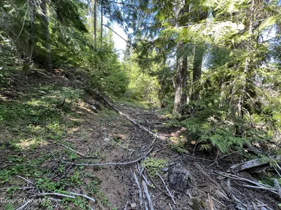 Property 26-4197 - Photo 11