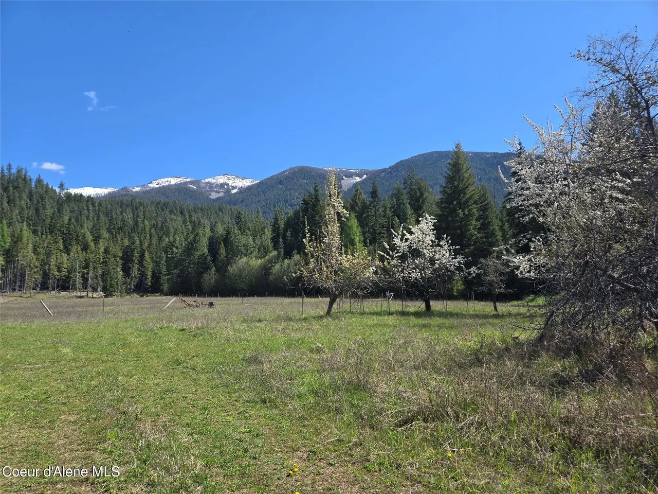 Property 26-4055 - Photo 1