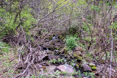 Property 26-8951 - Photo 5