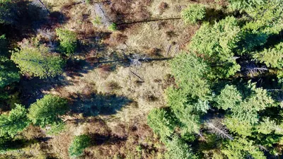 Property 26-9441 - Photo 12