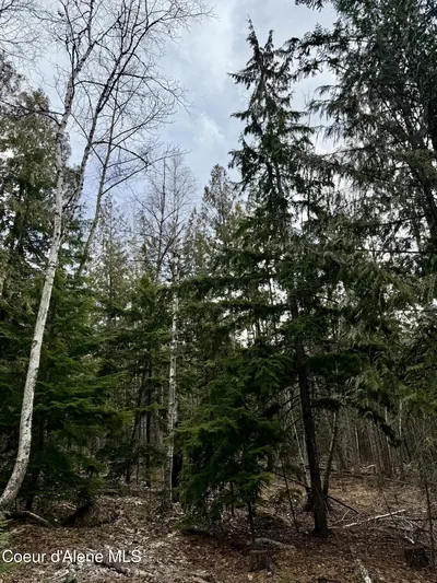 Property 26-2440 - Photo 23