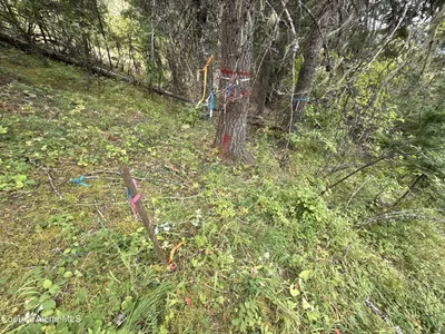 Property 26-7987 - Photo 28