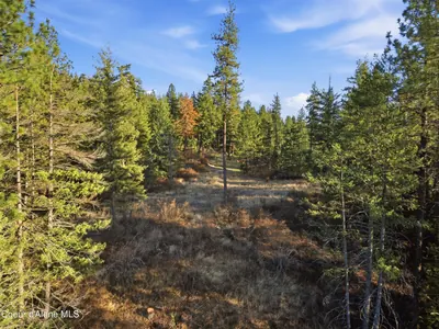 Property 26-10003 - Photo 43