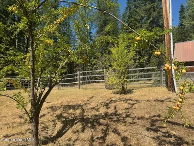Property 26-10316 - Photo 49