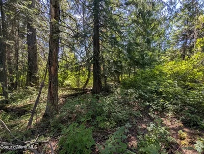 Property 26-7348 - Photo 11